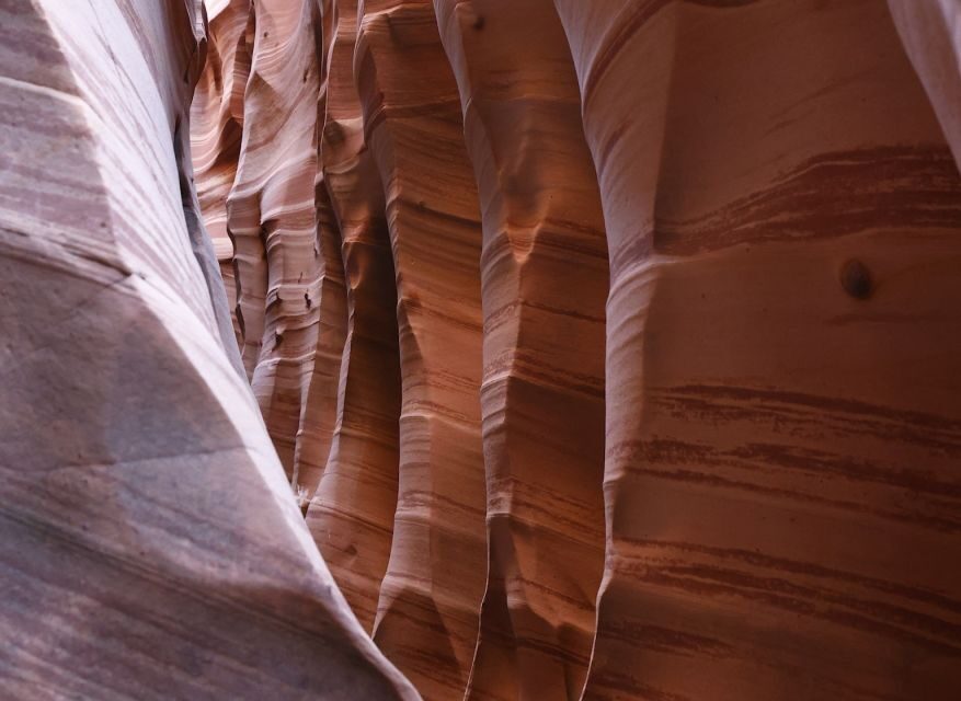 From Escalante: Zebra Slot Canyon Guided Tour and Hike - Is This Tour Worth It?