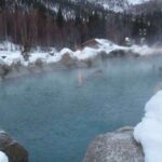 From Fairbanks: Chena Hot Springs Northern Lights Tour - Practical Aspects: What to Know Before Booking