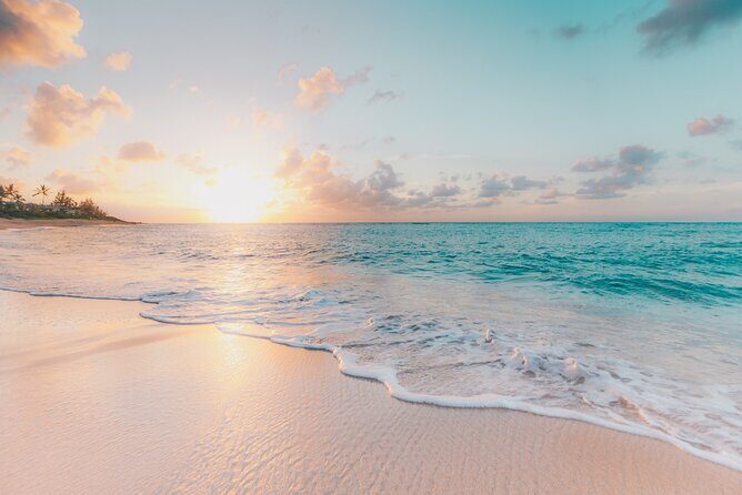 FROM FLORIDA: Bimini Bahamas Day Trip By Fast Ferry - Who Should Consider This Trip?