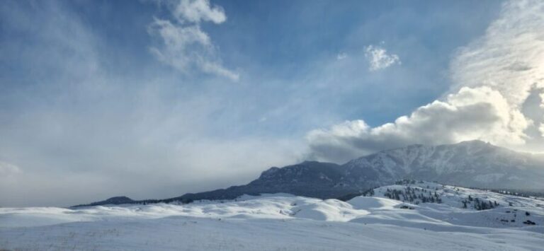 From Gardiner: Yellowstone National Park Snowshoe Tour - Who Should Consider This Tour?