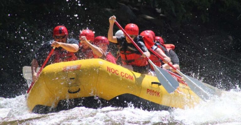 From Hartford: Upper Pigeon River White Water Rafting Tour - The Sum Up: Who Should Consider This Tour?