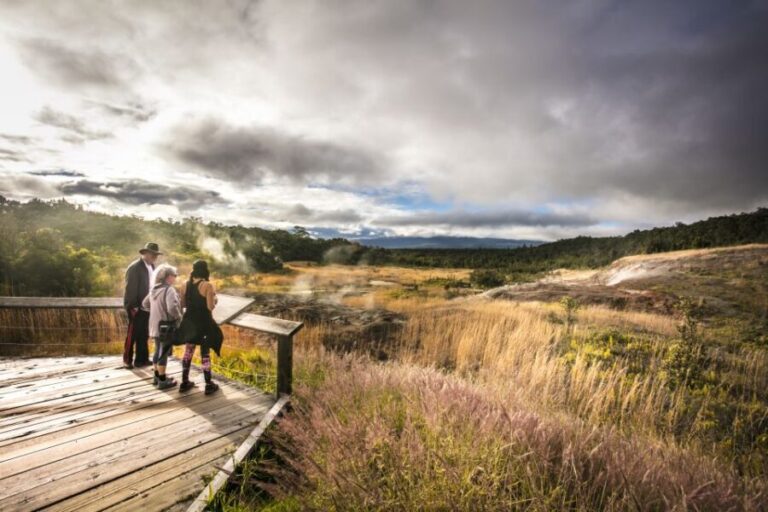 From Hilo: Kilauea Lava Flow Tour with Lunch and Dinner - Is This Tour Worth the Price?