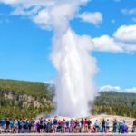 From Jackson: Yellowstone Day Tour Including Entrance Fee - The Importance of the Guided Tour Experience