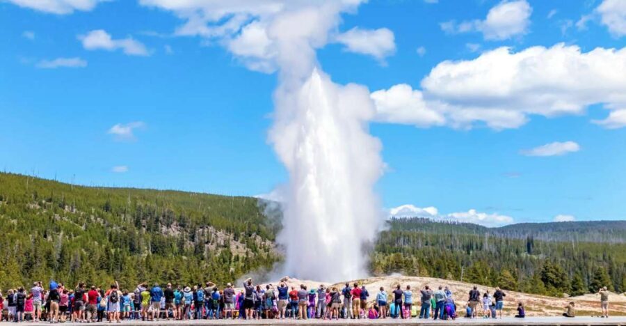From Jackson: Yellowstone Day Tour Including Entrance Fee - The Importance of the Guided Tour Experience