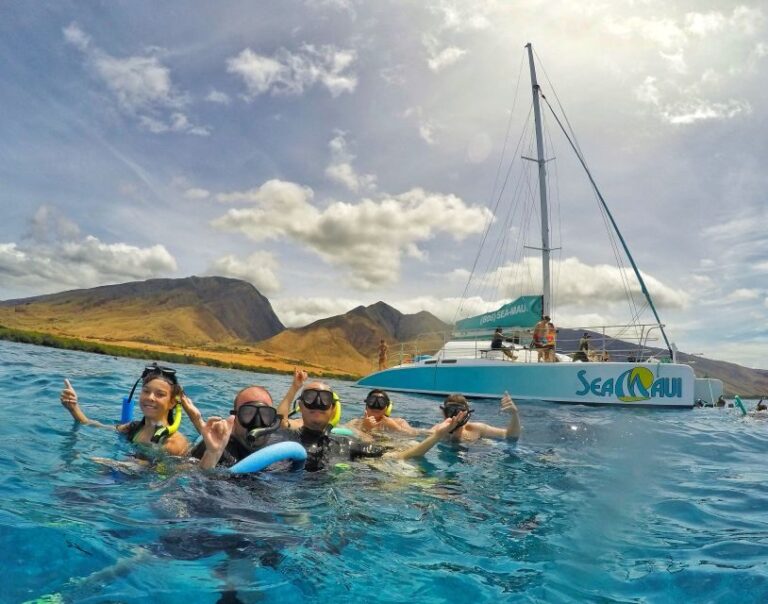 From Kaanapali: Afternoon West Maui Snorkeling w/ Drinks - The Value of This Tour