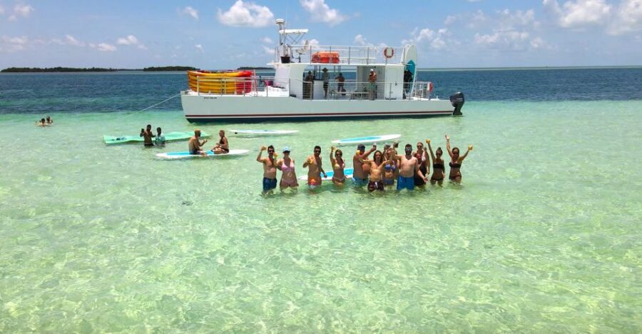 From Key West: Dolphin Watching Tour with Lunch & Drinks - Why This Tour Works Well