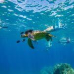 From Kihei: Molokini Snorkel 2-Hour Adventure - What Makes This Tour Stand Out