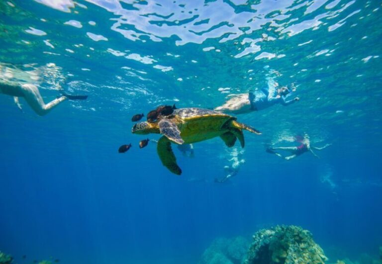 From Kihei: Molokini Snorkel 2-Hour Adventure - What Makes This Tour Stand Out