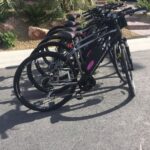 From Las Vegas: Red Rock Canyon Electric Bike Hire - Who Is This Tour Best For?