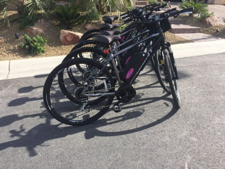 From Las Vegas: Red Rock Canyon Electric Bike Hire - Who Is This Tour Best For?