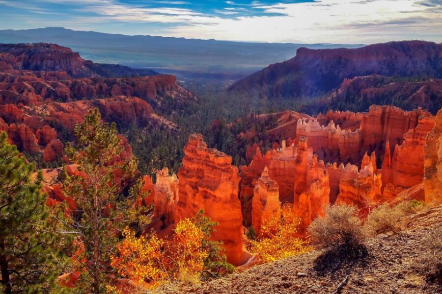 From Las Vegas: Zion and Bryce National Park Overnight Tour - Who This Tour Suits Best
