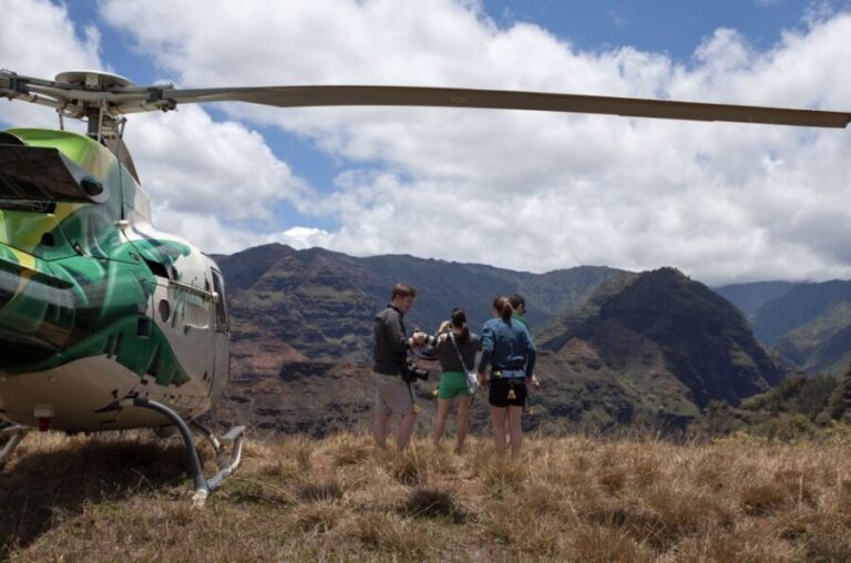 From Lihue: Kauai Sightseeing Helicopter Flight - The Value for Money