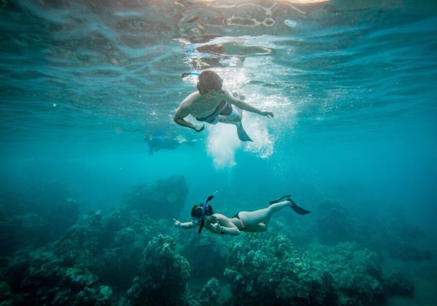 From Maalaea: Turtle Town 3-Hour Snorkel and Sail Adventure - The Practical Side: What to Expect and Considerations