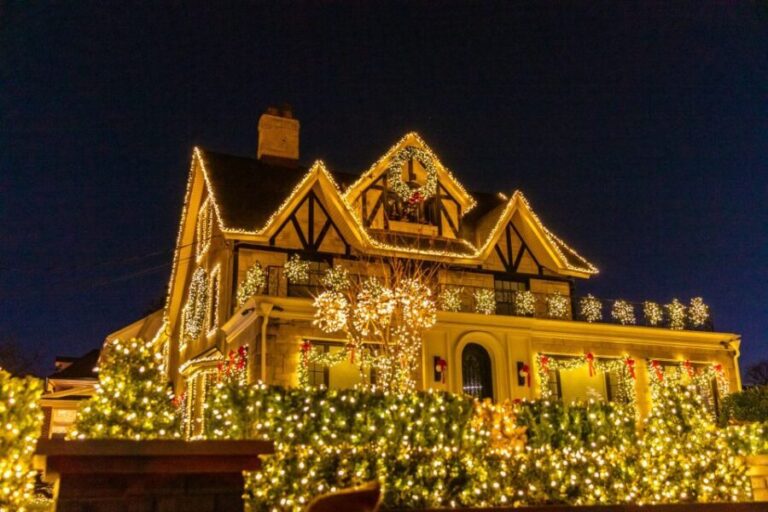 From Manhattan: 4-Hour Dyker Heights Holiday Lights Bus Tour - A Deep Dive into the Tour Experience