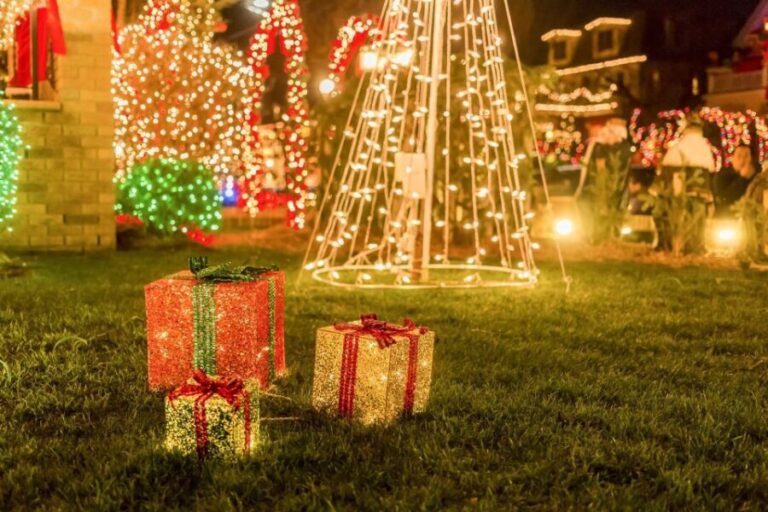 From Manhattan: Dyker Heights Holiday Bus Tour - The Value of the Tour