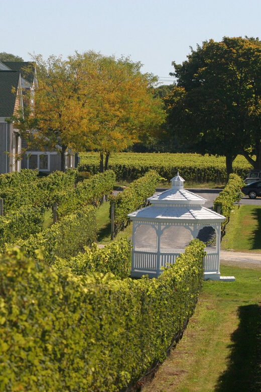 From Mattituck: Guided Brewery and Vineyard Tour by Bicycle - Breaking Down the Experience