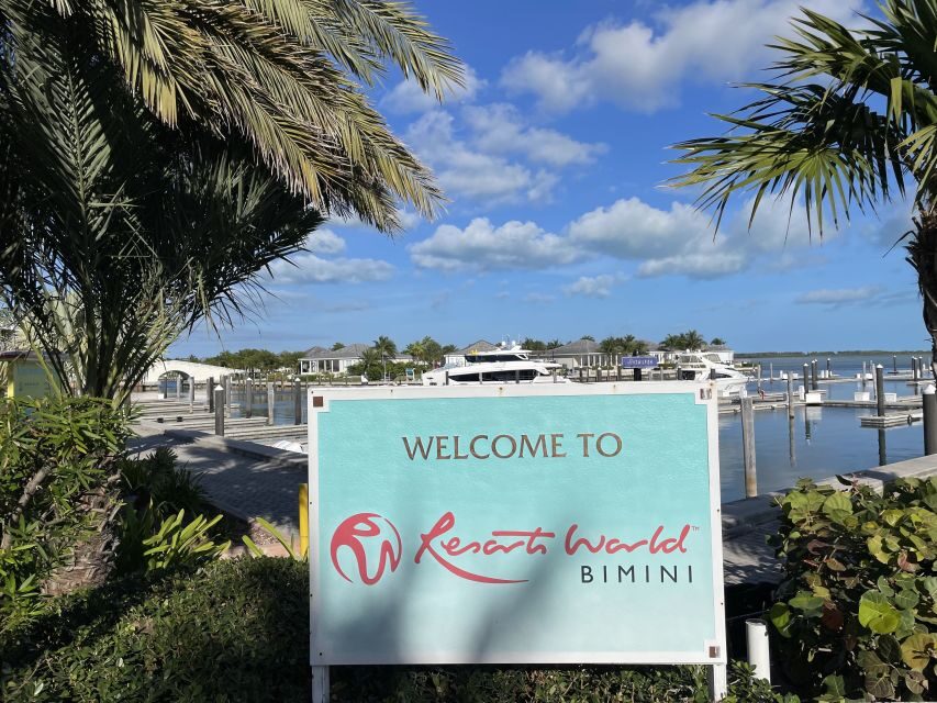 From Miami: Bimini or Grand Bahama Day Trip by Ferry - Detailed Breakdown of the Itinerary