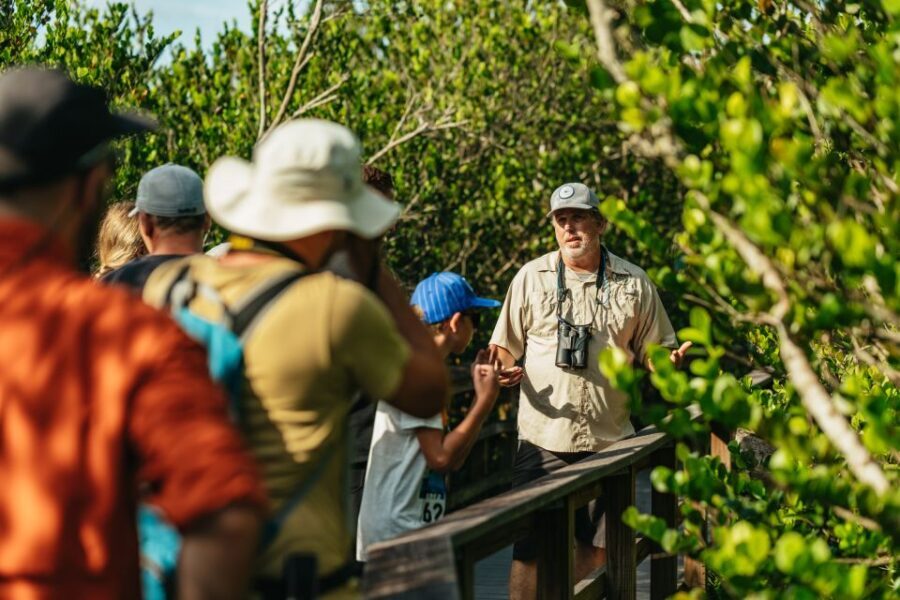 From Miami: Everglades Airboat Ride and Nature Walk - What’s Included and What You Should Know