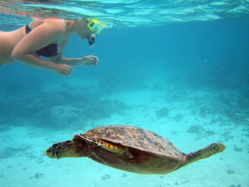 From Miami: Key West Day Trip - Authentic Experiences from Real Travelers
