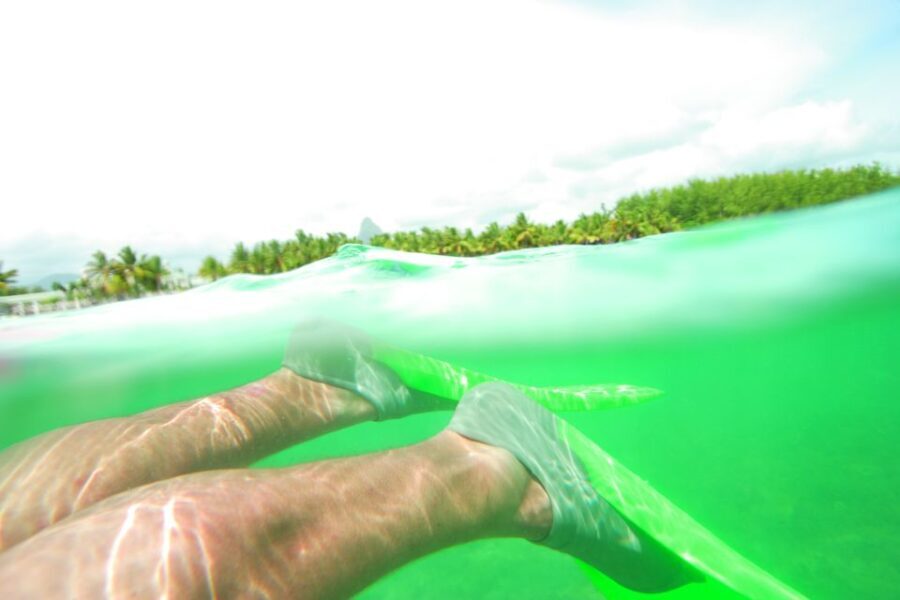 From Miami: Key West with Dolphin Watch or Snorkel Boat - A Deep Dive Into the Tour Experience