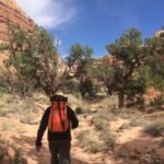 From Moab: 1-Day Horseshoe Canyon Exploration - Who will love this tour?