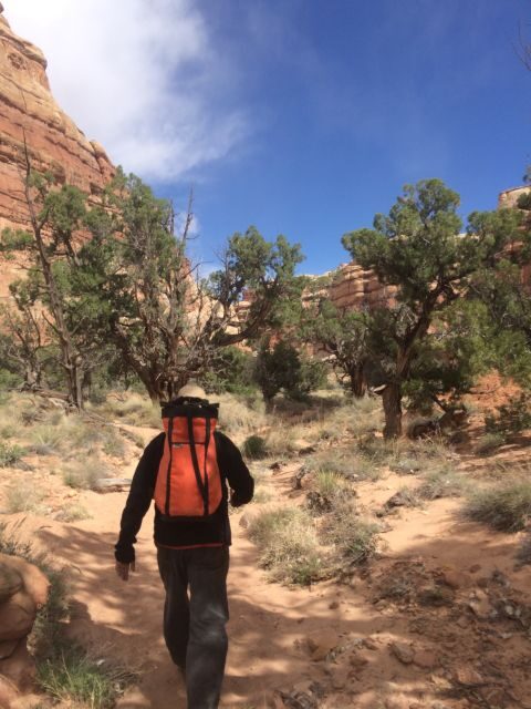 From Moab: 1-Day Horseshoe Canyon Exploration - Who will love this tour?