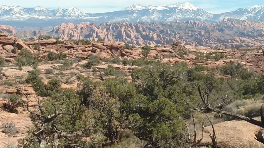From Moab: Rock of Ages Moderate Rappelling Obstacle Course - An in-depth look at the experience