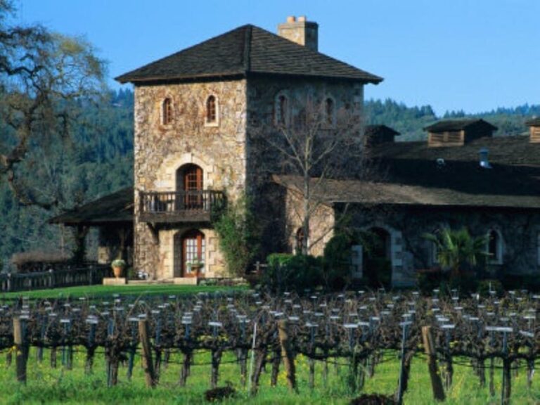 From Napa: Private Wine Tour to Guerneville - Why This Tour Offers Great Value