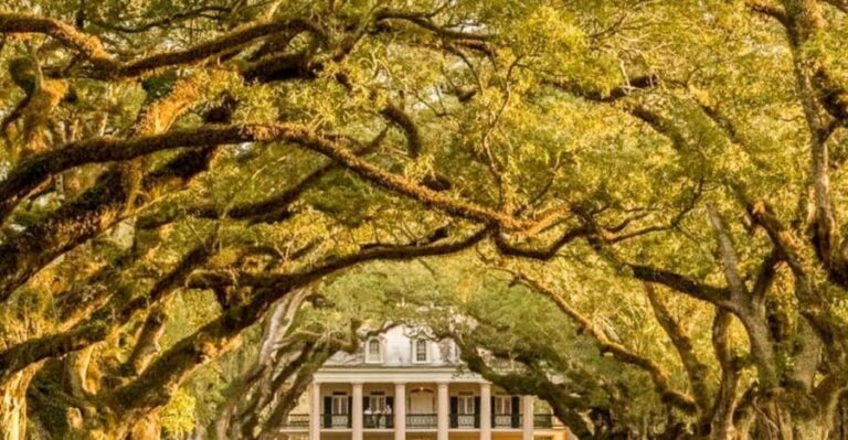 From New Orleans: Oak Alley Plantation Tour - A Closer Look at the Oak Alley Plantation Tour