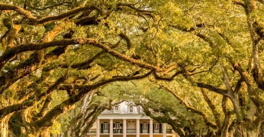 From New Orleans: Oak Alley Plantation Tour - A Closer Look at the Oak Alley Plantation Tour
