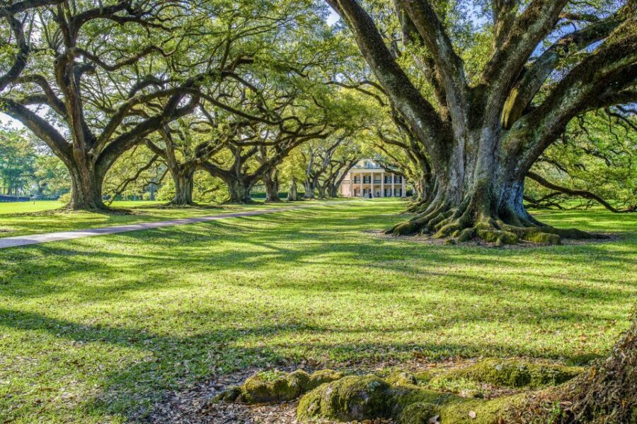 From New Orleans: Whitney Plantation Ticket & Transportation - Why You Should Consider This Tour