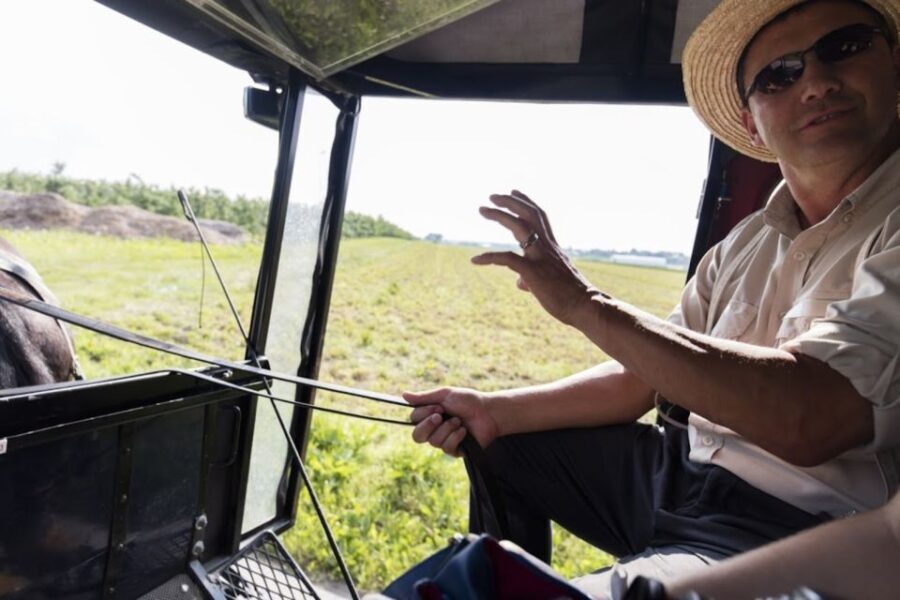 From NYC: Day Trip to Philadelphia and Amish Country - What To Expect in Amish Country