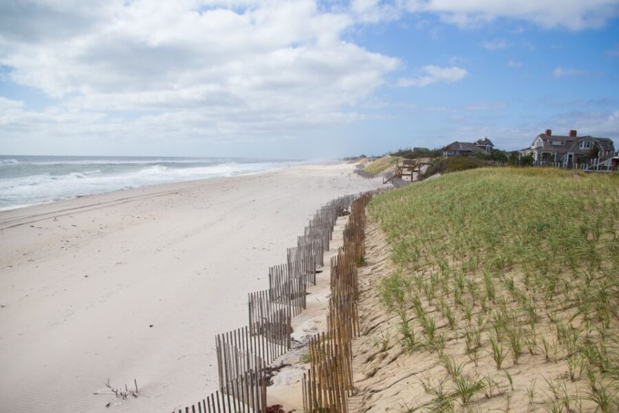 From NYC: Hamptons, Sag Harbor, and Outlet Shopping Day Trip - Transportation, Timing, and Group Size