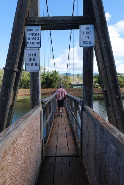 From Oahu: Kauai Waimea Canyon and Koke'e State Park Tour - Who Is This Tour Best For?