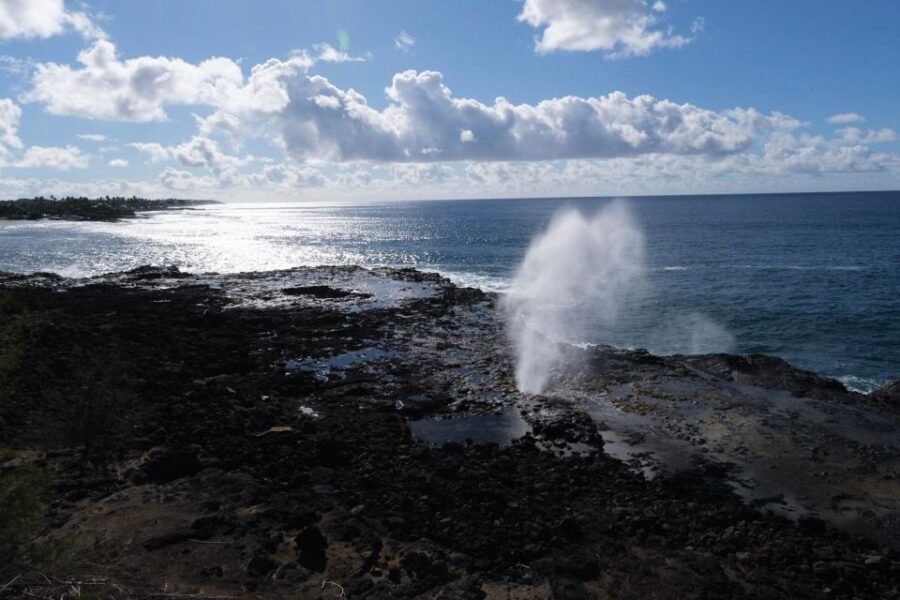 From Oahu: Kauai Waimea Canyon & Wailua River Tour - How This Tour Brings Value