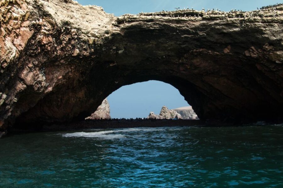 From Paracas: Ballestas Islands tour all Inclusive - The Real Experience: Insights from Travelers