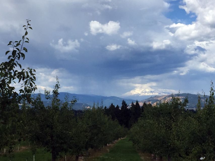 From Portland: Mt Hood, Hood River Valley and Columbia Gorge - Introduction: Why This Tour Stands Out