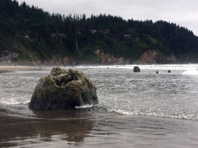 From Portland: Oregon Coast Day Trip to Three Capes Loop - Exploring the Natural Wonders of the Oregon Coast