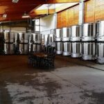 From Portland Private Willamette Valley Wine Tour - Exploring the Willamette Valley: What You Can Expect