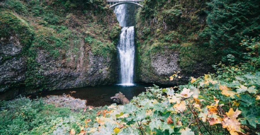 From Portland: Waterfalls, Mt Hood, and Wine Day Tour - Practical Details and What You Should Know