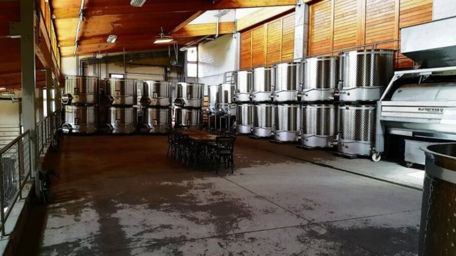From Portland: Willamette Valley Full-Day Wine Tour - What to Expect at Each Winery