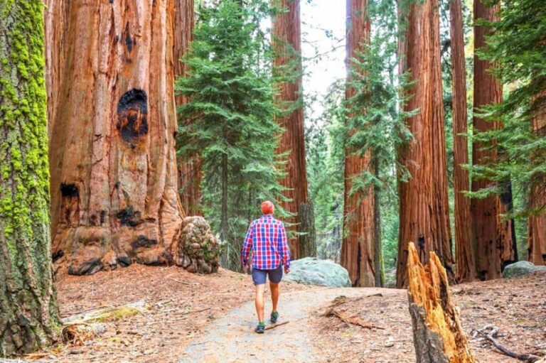 From San Francisco: Alcatraz Night Tour, Muir Woods and Wine - What We Loved