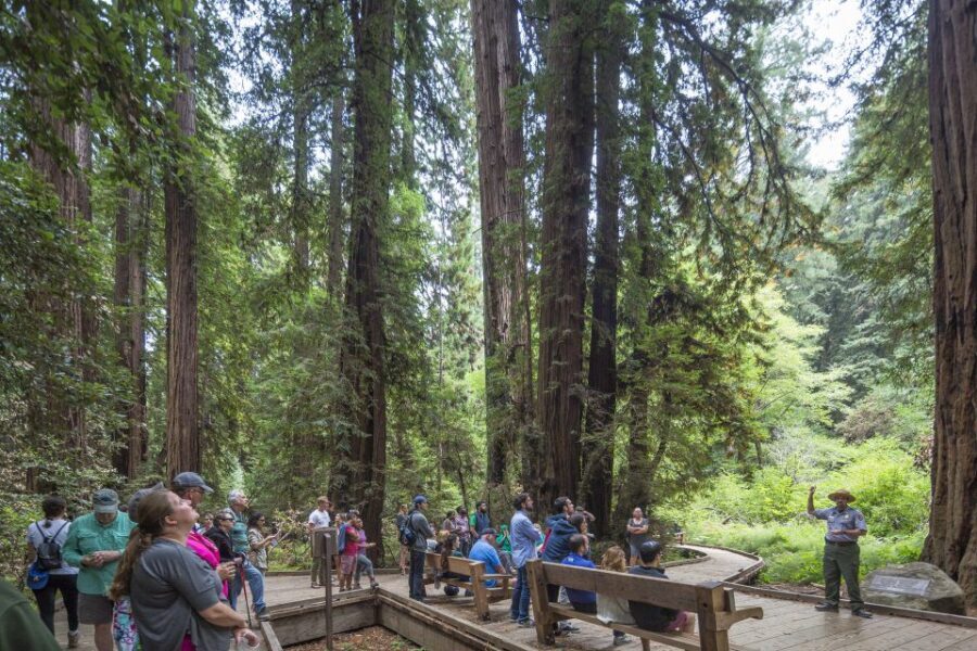 From San Francisco: Muir Woods, Sausalito and Alcatraz Tour - Transportation, Timing, and Group Dynamics