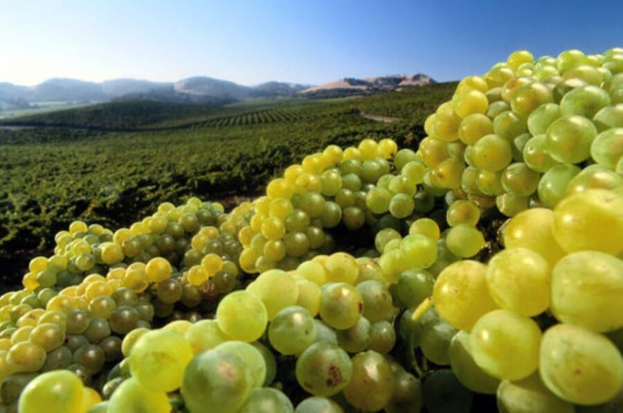 From San Francisco: Santa Rosa Wine Tasting Tour - Detailed Breakdown of the Itinerary