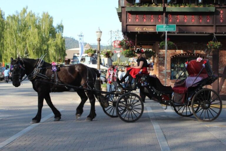 From Seattle: Day Trip Through The Cascades to Leavenworth - En Route to Leavenworth