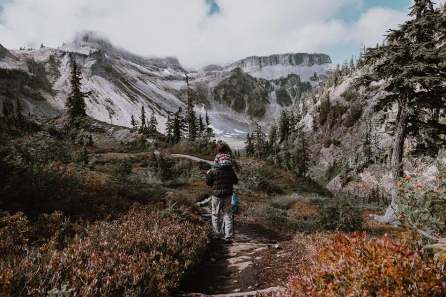 From Seattle - Enchanting Mt Baker & Cascade mountains tours - A Deep Dive into the Experience
