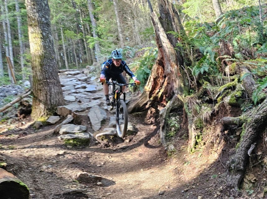 From Seattle: Full Day All-Inclusive Mountain Bike Tour - What’s Included and What to Consider
