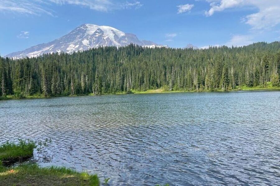 From Seattle: Full-Day Mt Rainier National Park Tour - Analyzing the Value