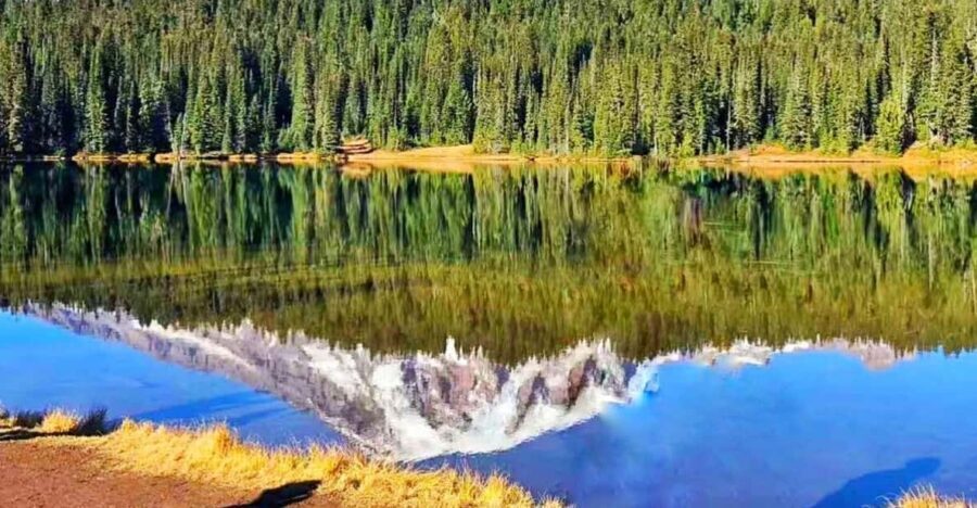 From Seattle: Mount Rainier National Park 1-Day Tour - Introduction to Mount Rainier National Park