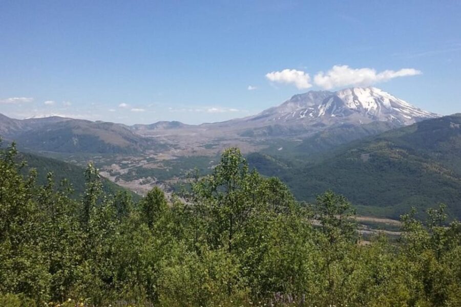 From Seattle: Mount Saint Helens Monument Private Day Trip - A Detailed Look at What to Expect on this Tour